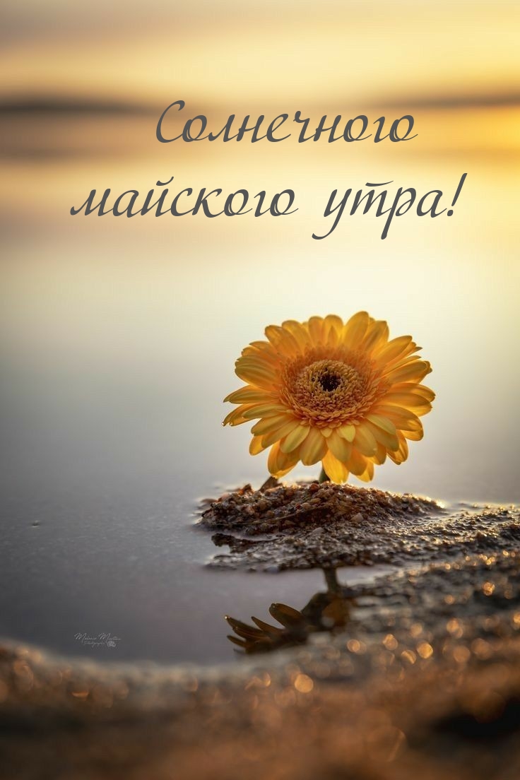 Солнечного майского утра!