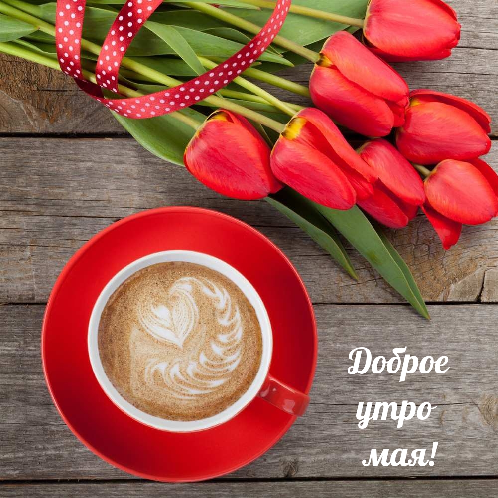 Доброе утро мая!