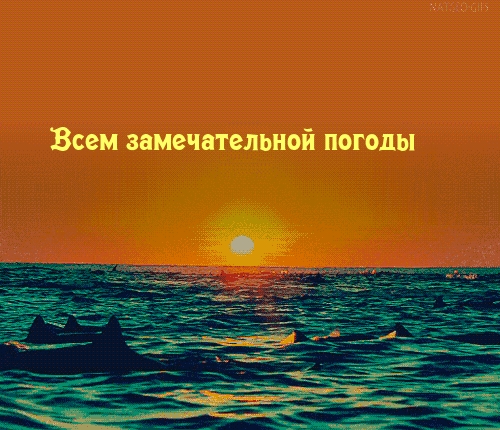 Всем замечательной погоды