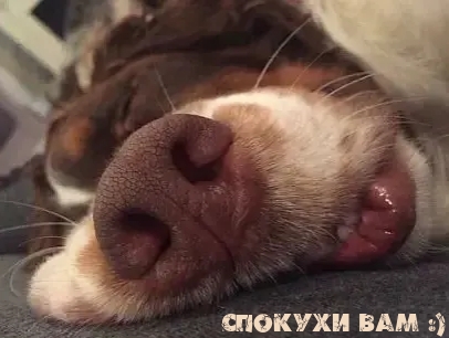 Спокухи вам :)