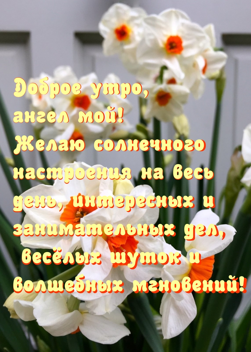 Доброе утро, ангел мой! Желаю солнечного настроения на весь день
