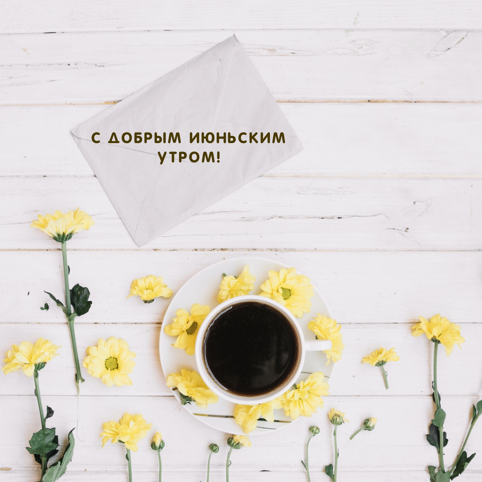 С добрым июньским утром!