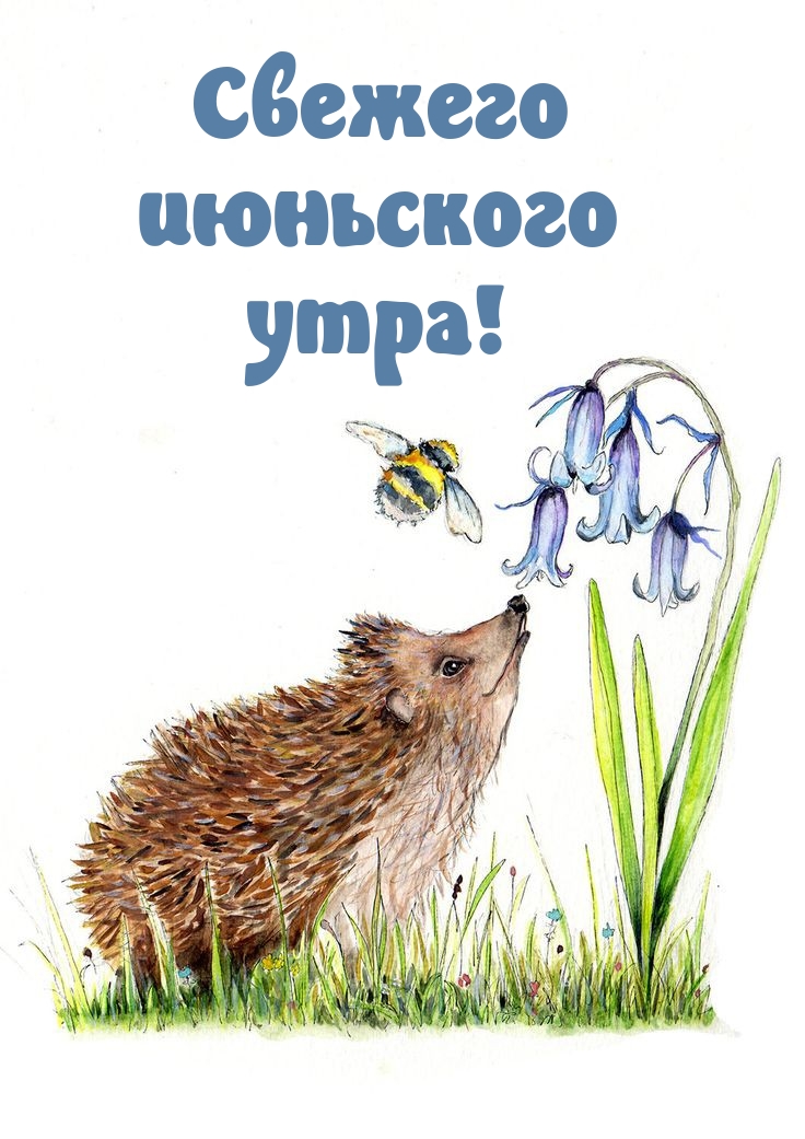 Свежего июньского утра!