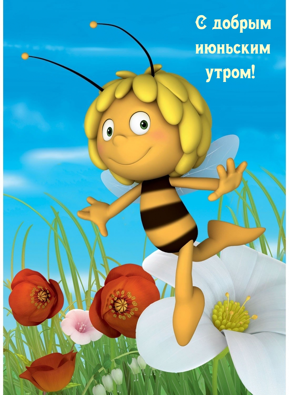 С добрым июньским утром!