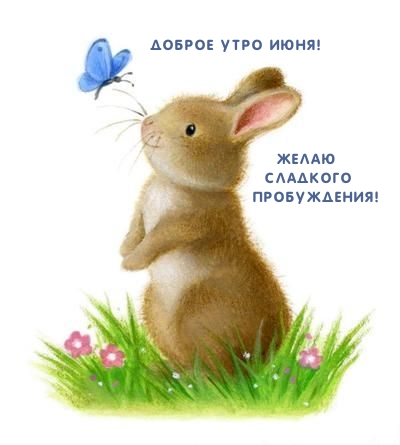 Доброе утро июня! Желаю сладкого пробуждения!