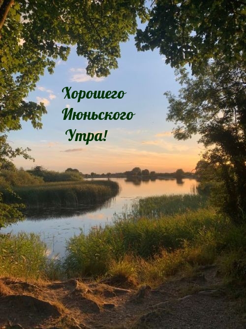Хорошего Июньского Утра!