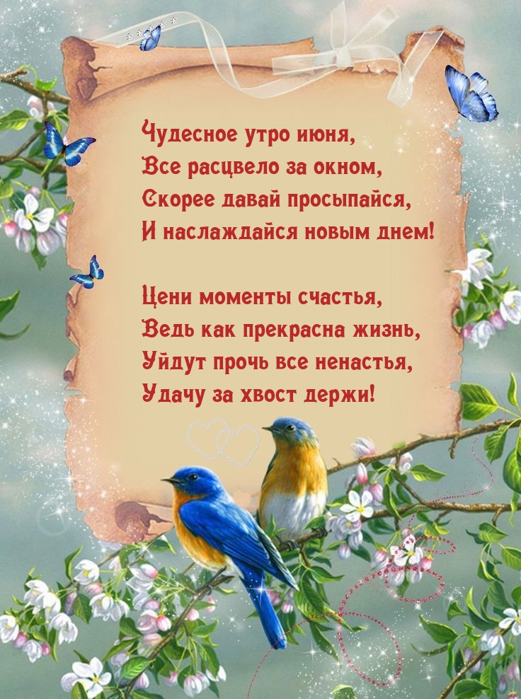 Чудесное утро июня, все расцвело за окном