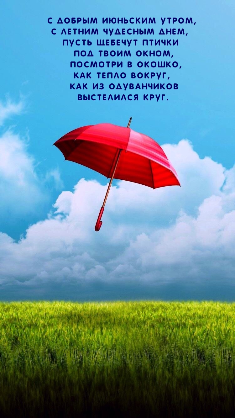 С добрым июньским утром, с летним чудесным днем