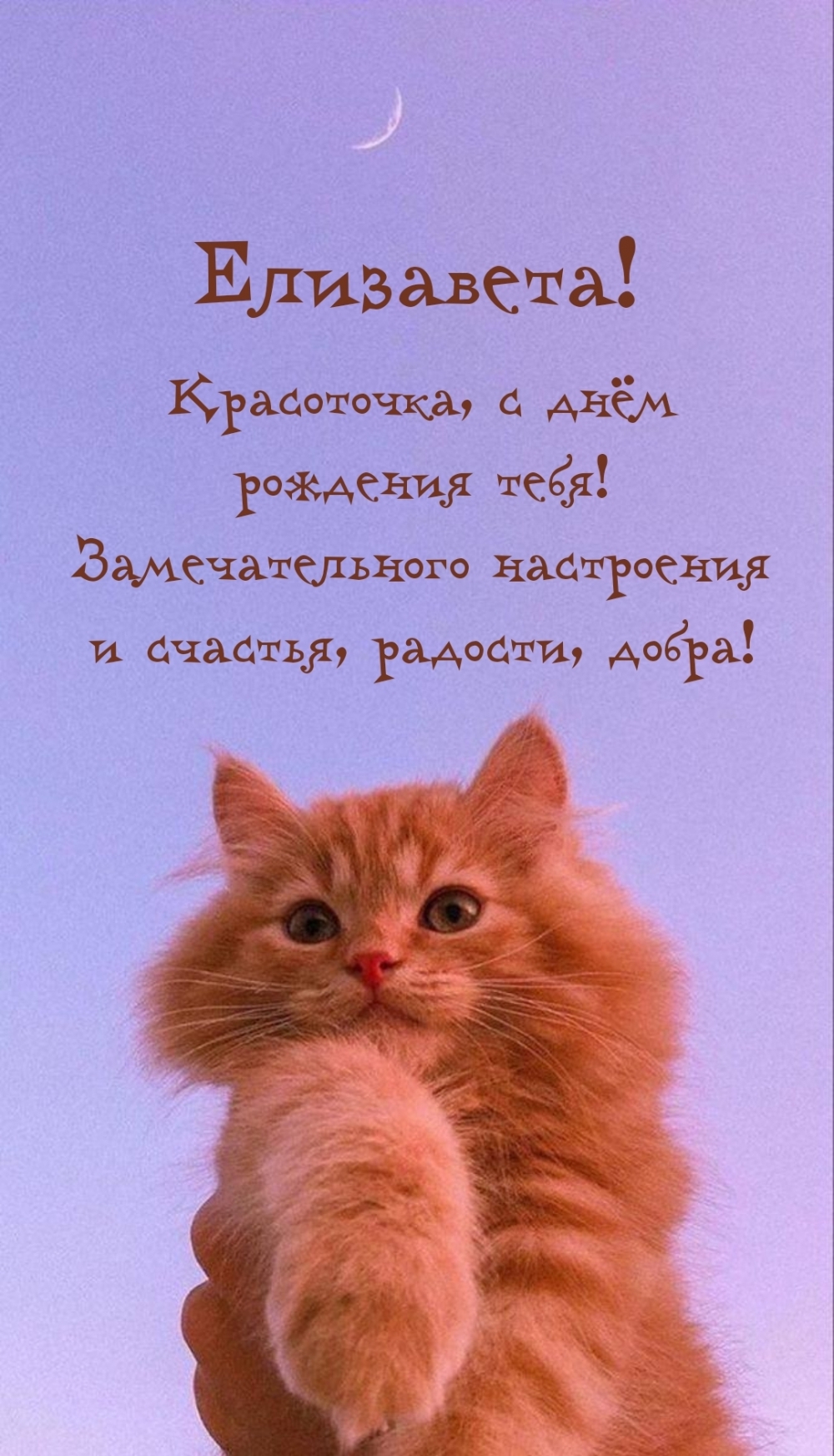 Елизавета! Красоточка, с днём рождения тебя!