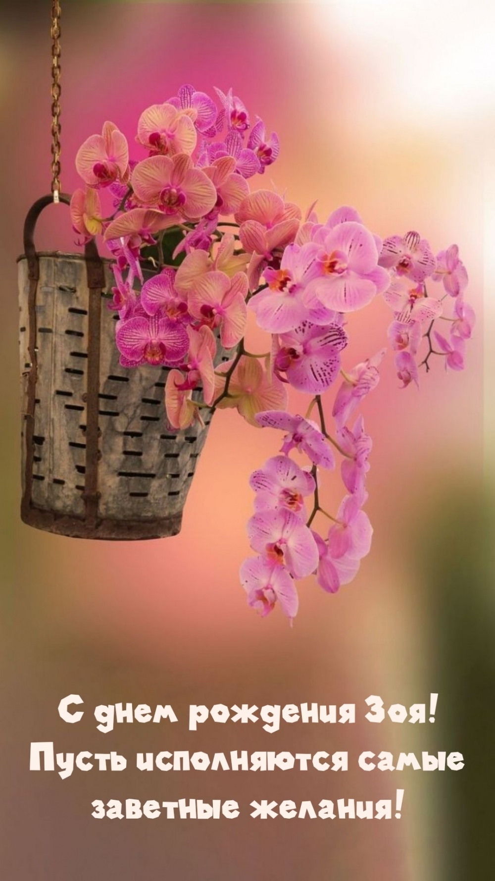 С днем рождения Зоя! Пусть исполняются самые заветные желания!