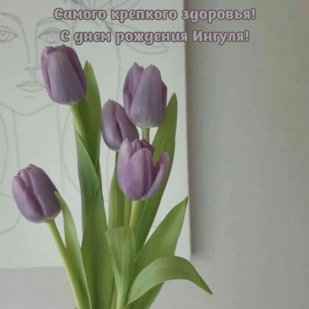 Самого крепкого здоровья! С днем рождения Ингуля!