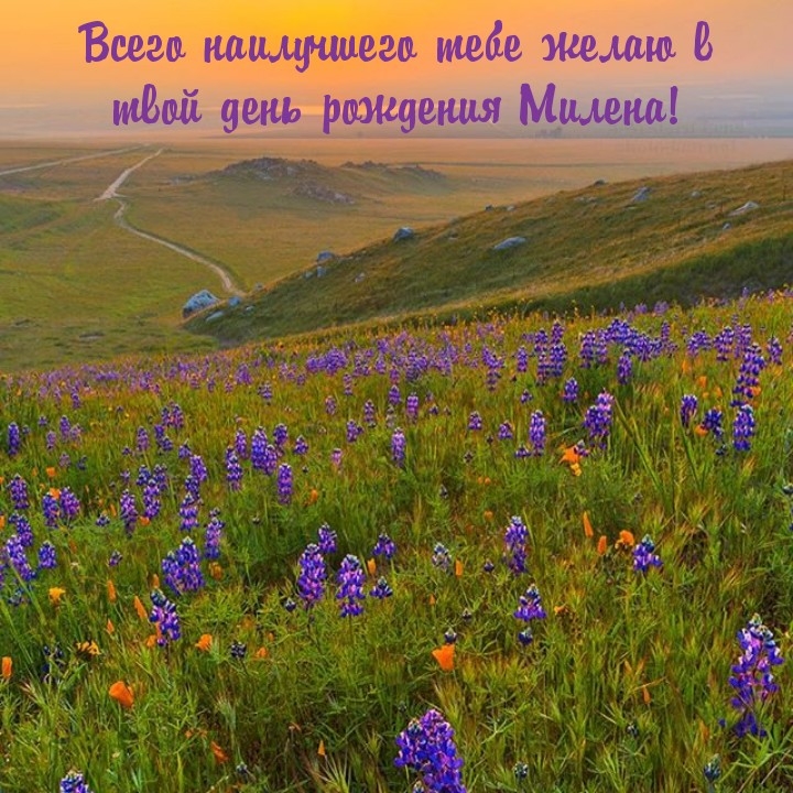 Всего наилучшего тебе желаю в твой день рождения Милена!