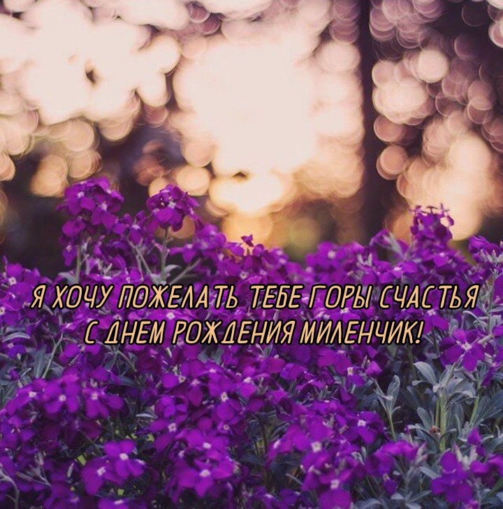 Я хочу пожелать тебе горы счастья С днем рождения Миленчик!