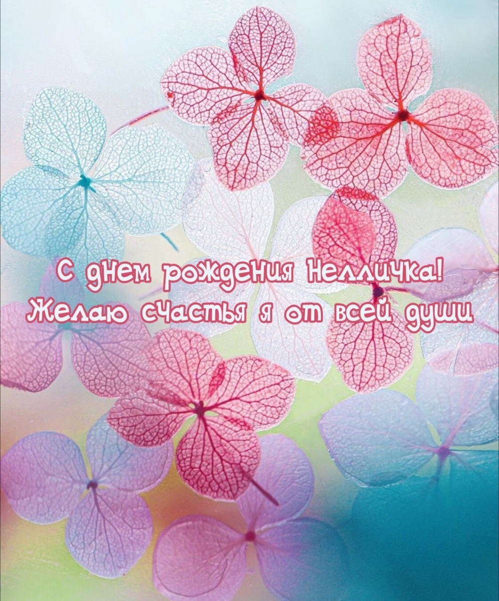 С днем рождения Нелличка! Желаю счастья я от всей души