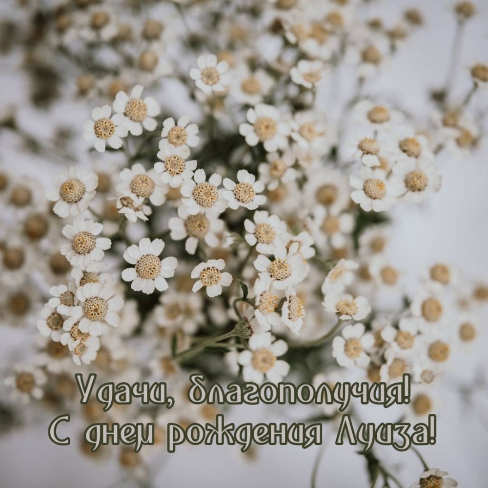 Удачи, благополучия! С днем рождения Луиза!
