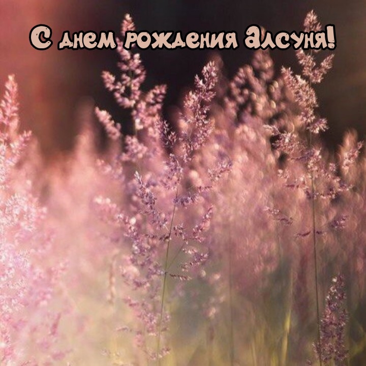 С днем рождения Алсуня!