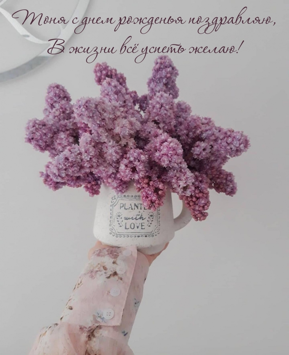 Тоня с днем рожденья поздравляю, в жизни всё успеть желаю!