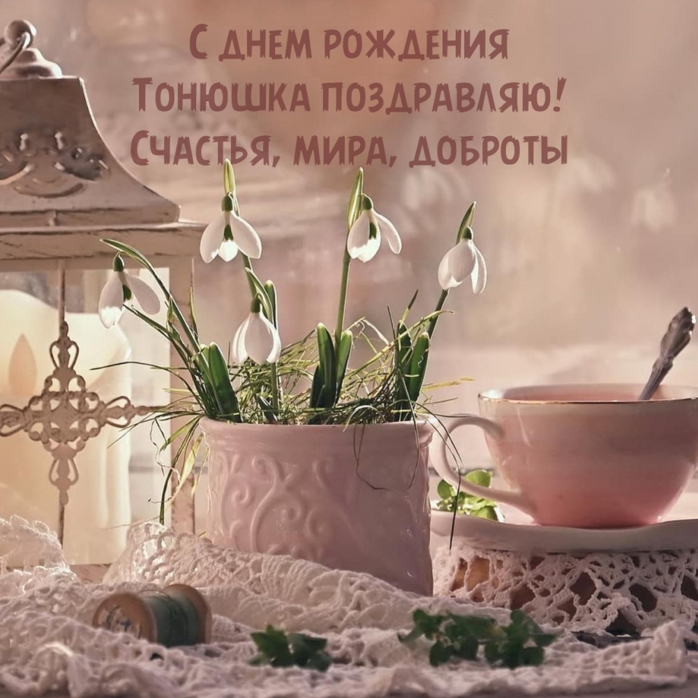 С днем рождения Тонюшка поздравляю! Счастья, мира, доброты