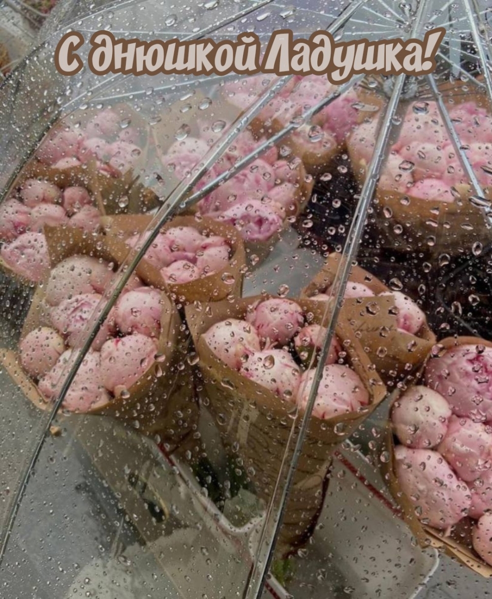 С днюшкой Ладушка!