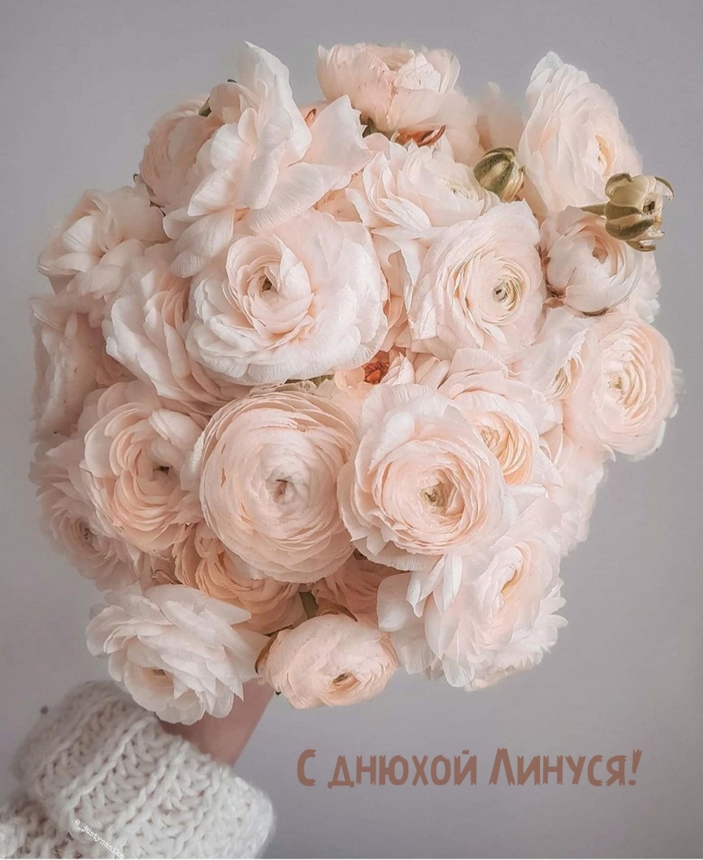 С днюхой Линуся!