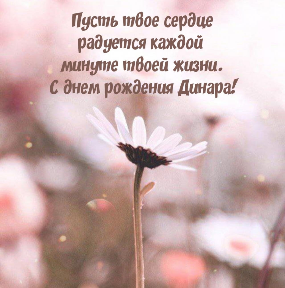 С днем рождения Динара! Пусть сердце радуется каждой  минуте