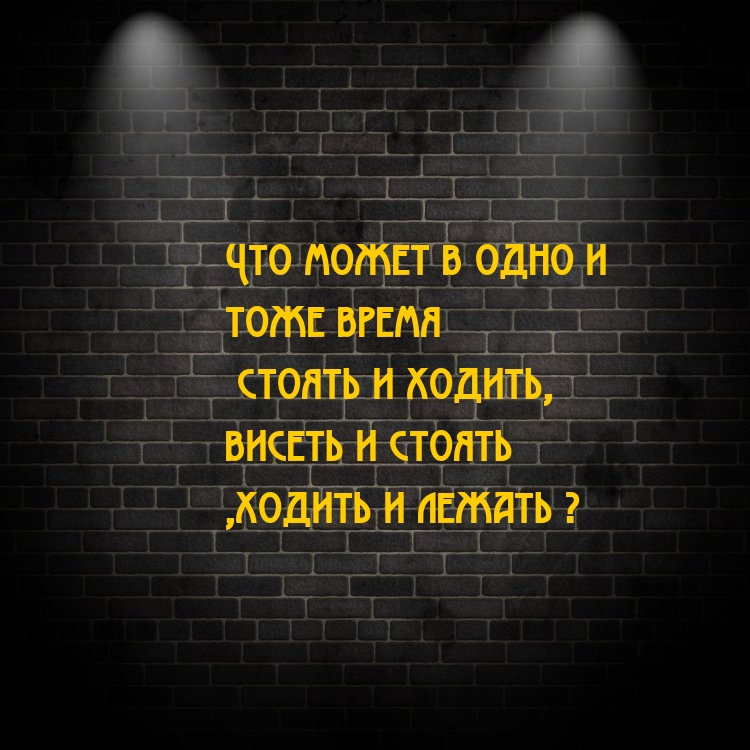 Что может в одно и тоже время стоять и ходить, висеть и стоять, ходить и лежать?