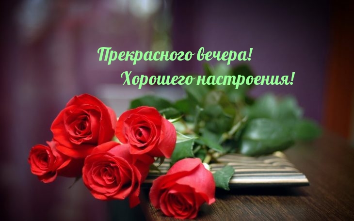 Прекрасного вечера! Хорошего настроения!