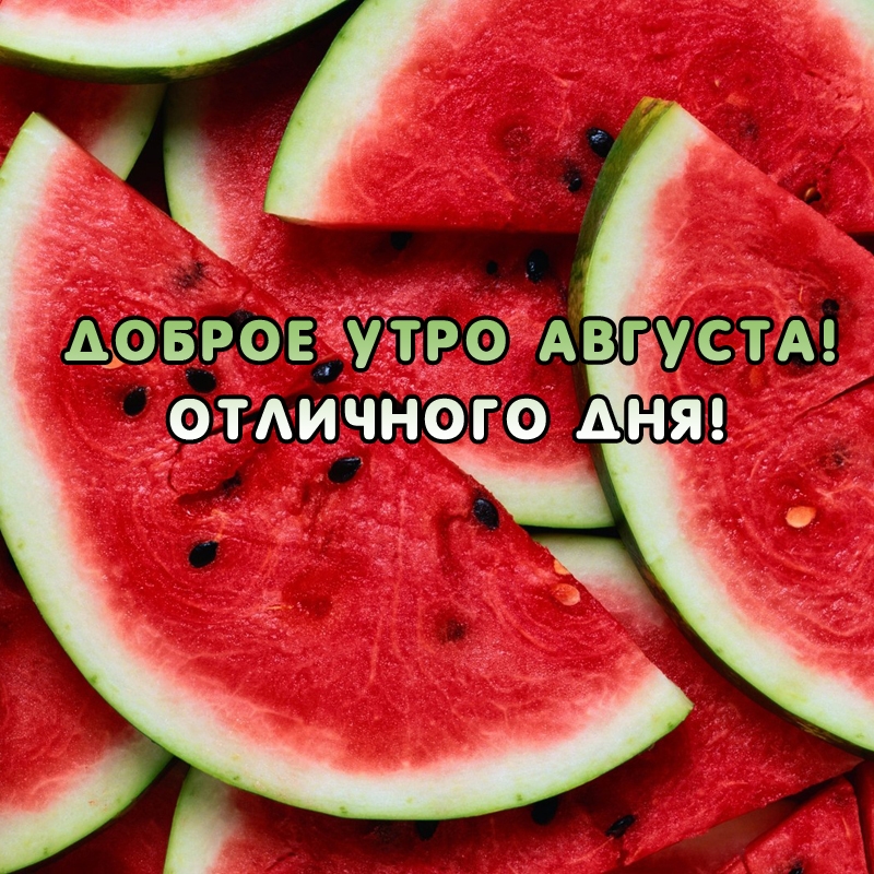 Доброе утро Августа! Отличного дня!