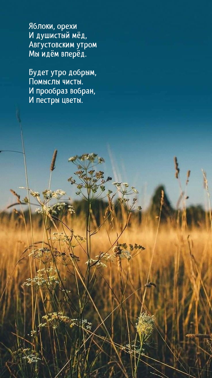 Яблоки, орехи и душистый мёд, Августовским утром мы идём вперёд.