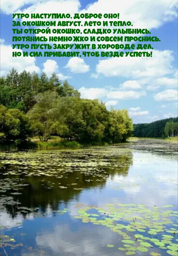 Утро наступило. Доброе оно! За окошком август. Лето и тепло.