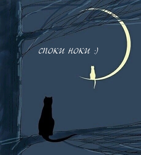 Споки ноки :)