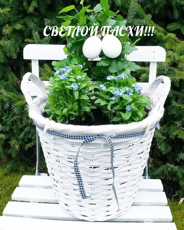 Светлой пасхи!