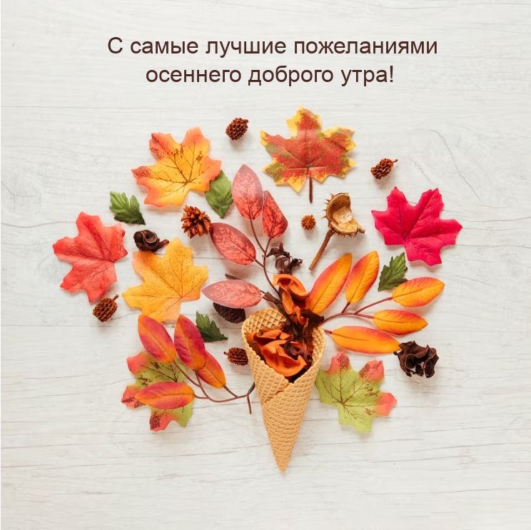 С самые лучшие пожеланиями осеннего доброго утра!