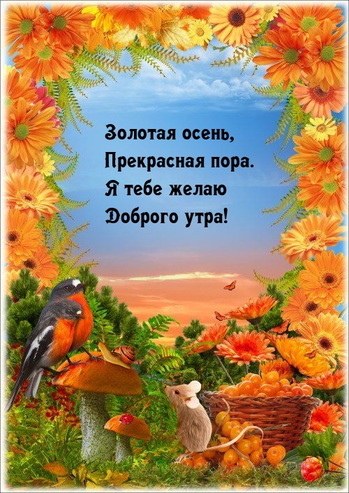 Золотая осень, прекрасная пора. Я тебе желаю доброго утра!