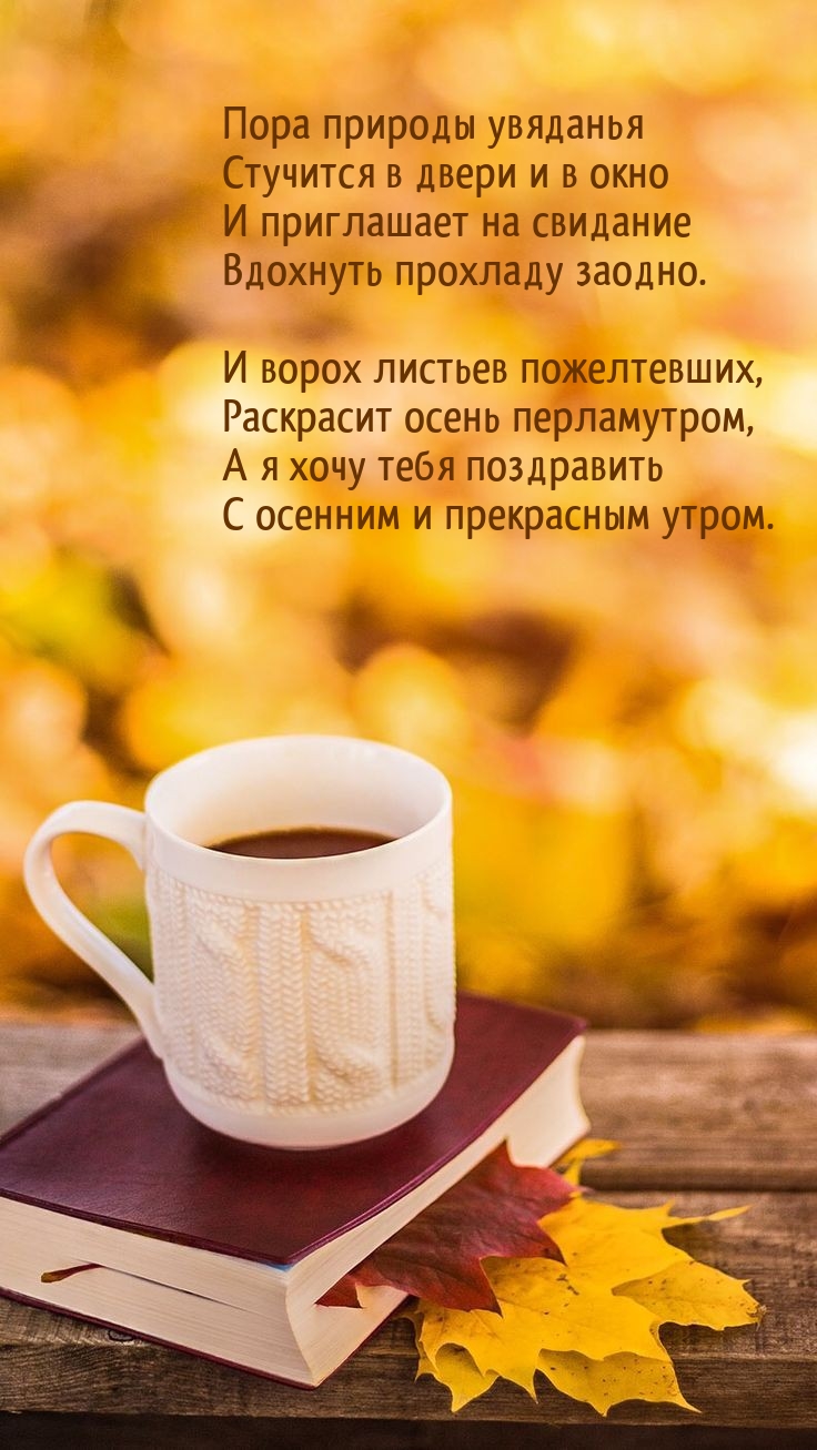 Пора природы увяданья стучится в двери и в окно
