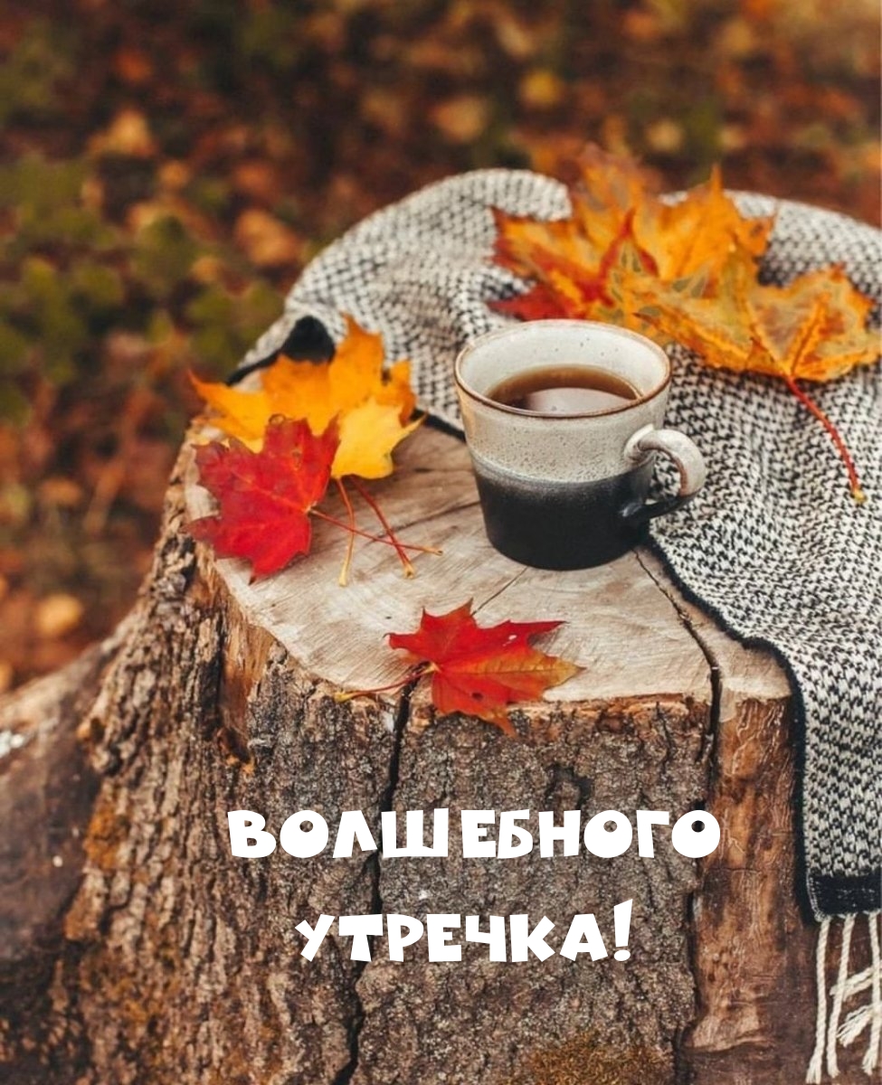 Волшебного утречка!