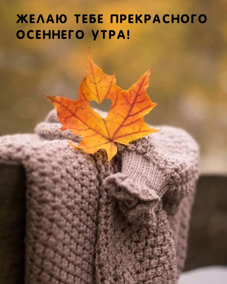 Желаю тебе прекрасного осеннего утра!