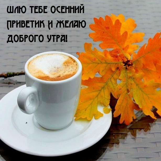 Шлю тебе осенний приветик и желаю доброго утра!