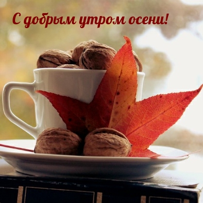 С добрым утром осени!