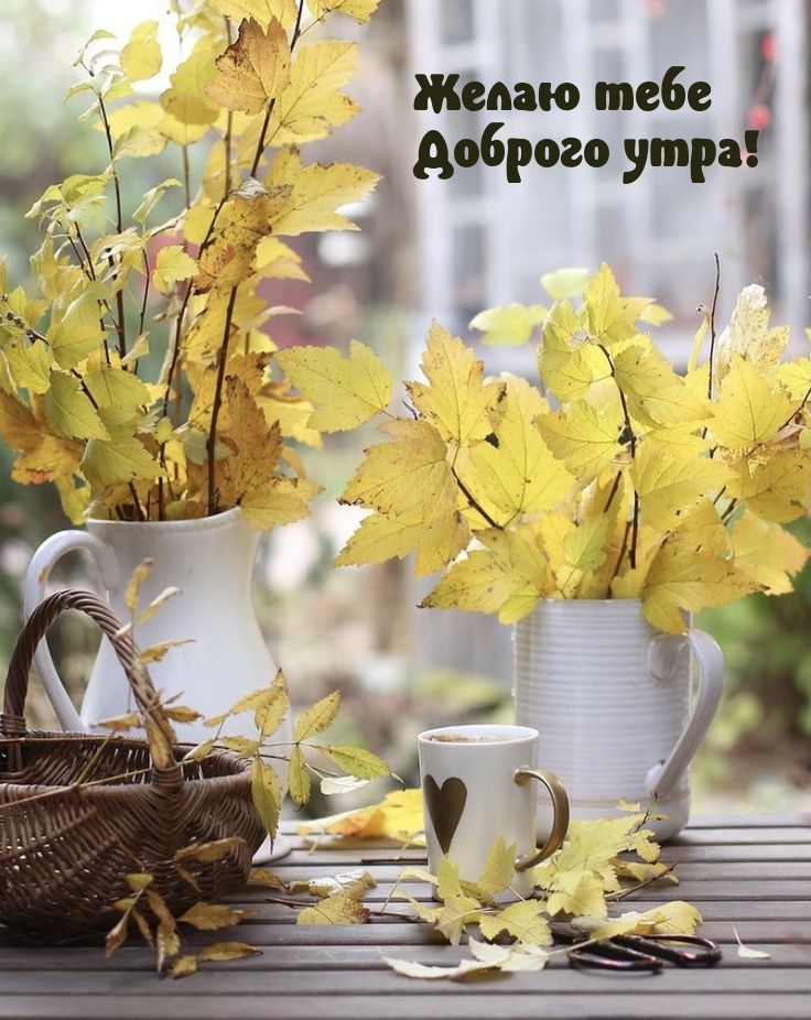 Желаю тебе доброго утра!