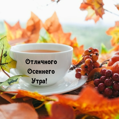 Отличного Осеннего Утра!