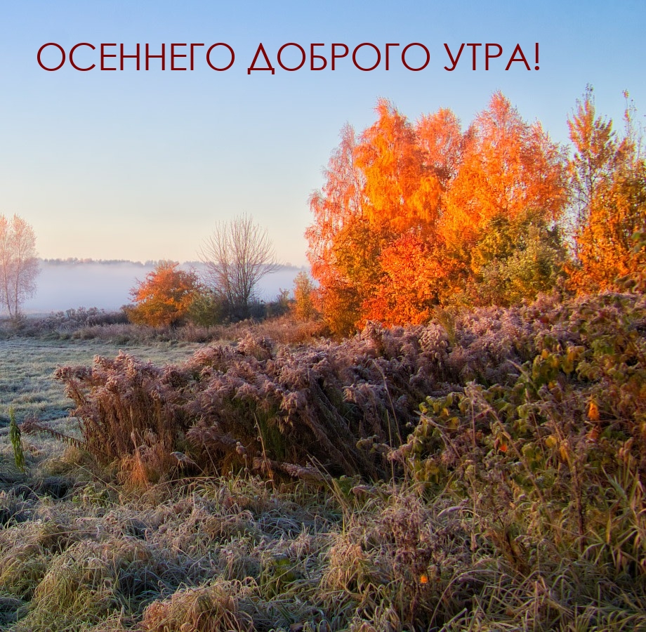 Осеннего доброго утра!