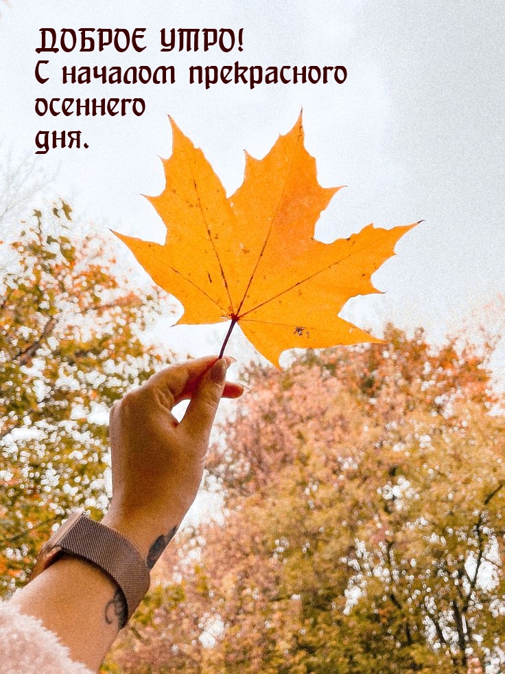 Доброе утро! С началом прекрасного осеннего дня.
