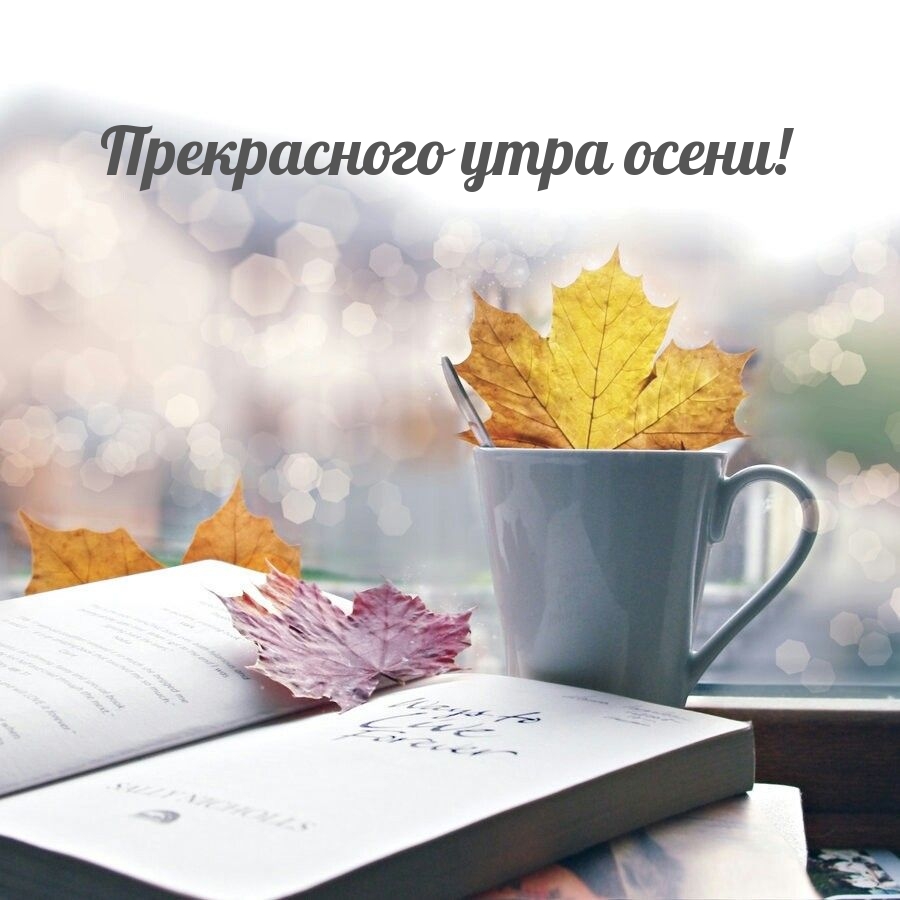 Прекрасного утра осени!