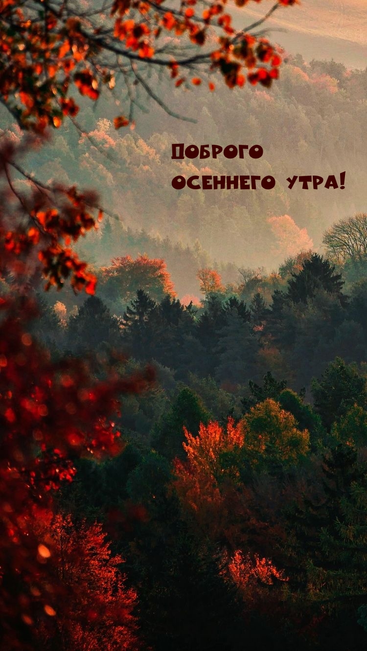 Доброго осеннего утра!
