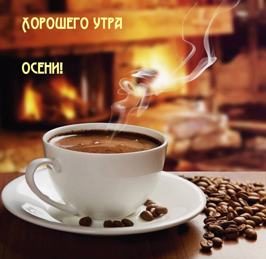 Хорошего утра осени!