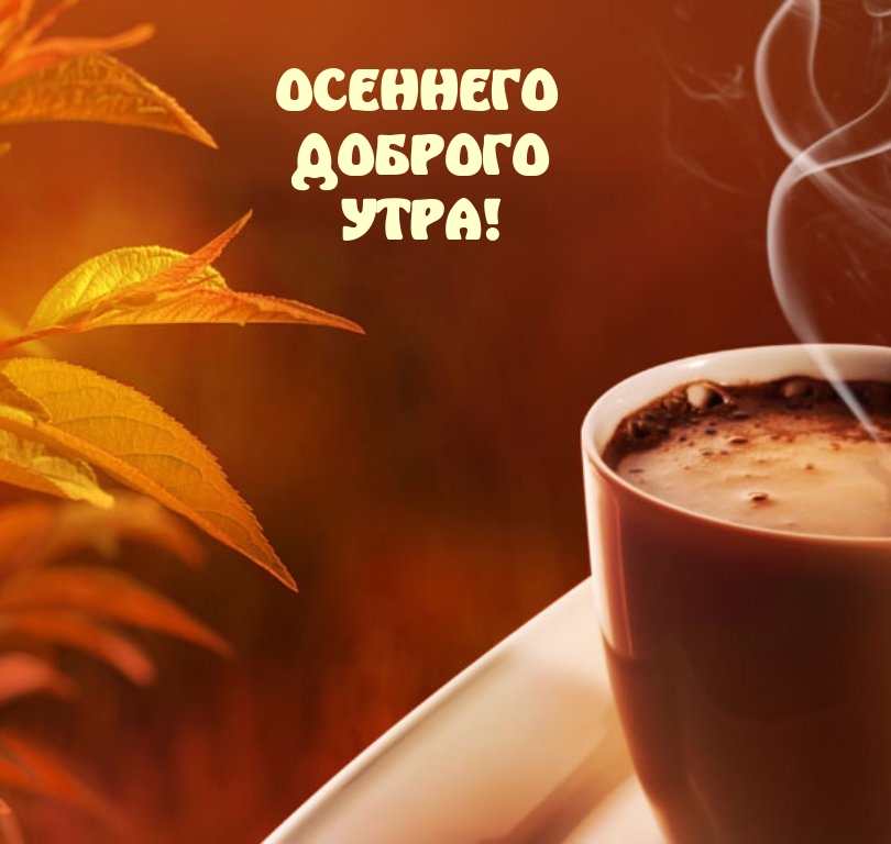 Осеннего доброго утра!
