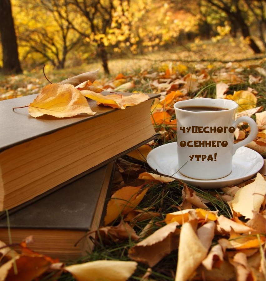 Чудесного осеннего утра!