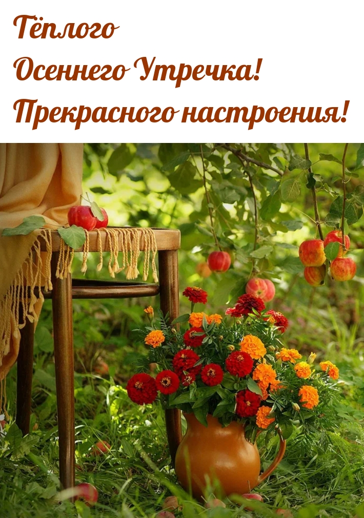 Тёплого Осеннего Утречка! Прекрасного настроения!