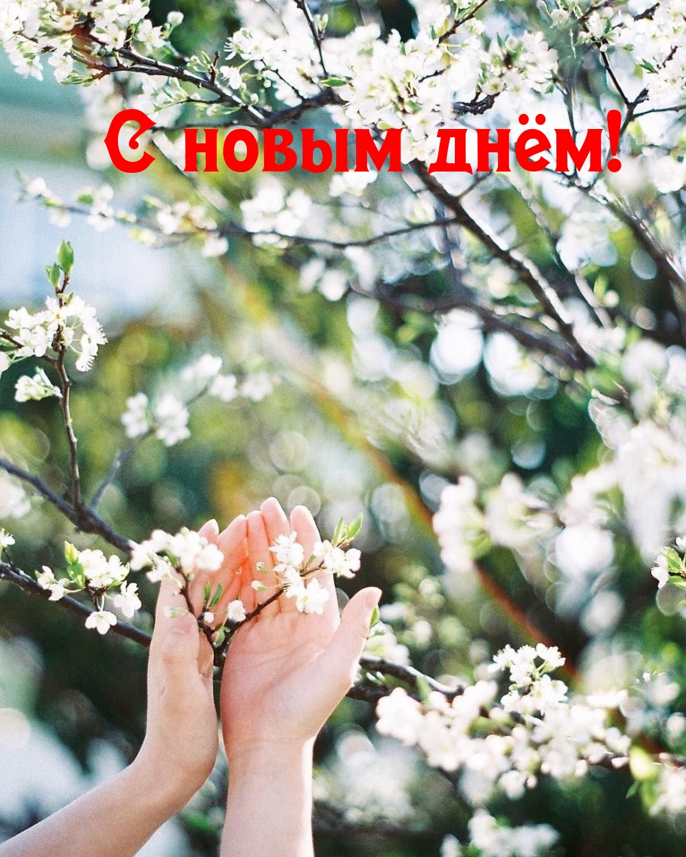 С новым днём!
